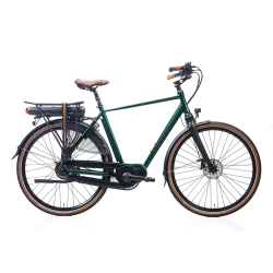 Avalon DeLuxe E-Bike H57 cm Shimano Nexus 8 Groen metallic